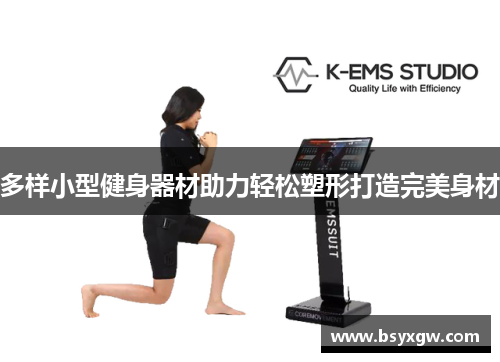 多样小型健身器材助力轻松塑形打造完美身材