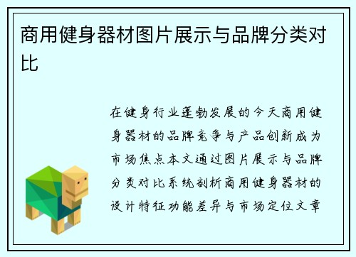 商用健身器材图片展示与品牌分类对比