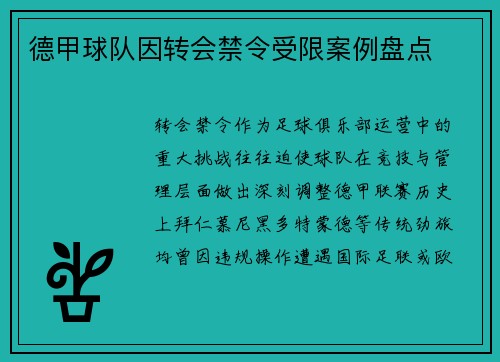 德甲球队因转会禁令受限案例盘点