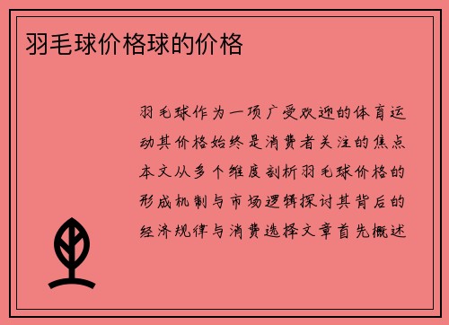 羽毛球价格球的价格