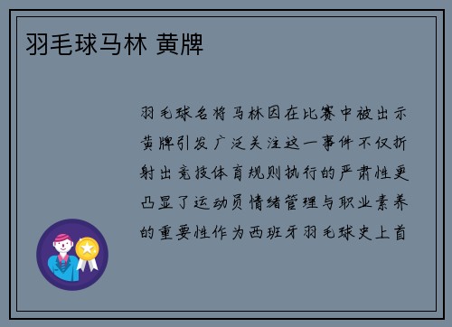 羽毛球马林 黄牌